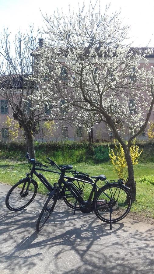 Agriturismo Casa Matilde Lauriano Екстериор снимка